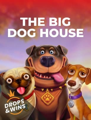 The Big Dog House